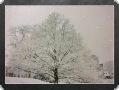 LED-Wandbild: Baum im Schnee